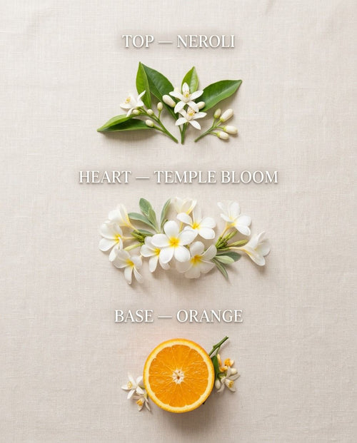 Combo of 2 soy candles by TheCandles.shop on nonexsuch, detail